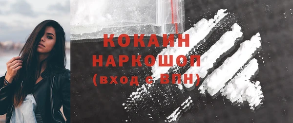 индика Михайлов