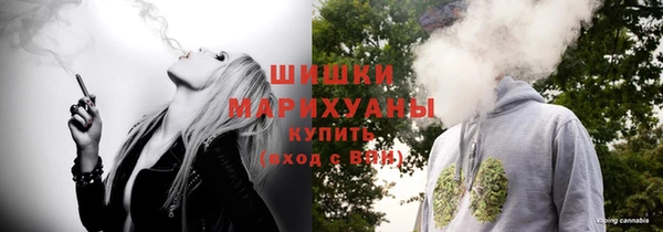 индика Михайлов