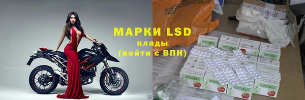 индика Михайлов