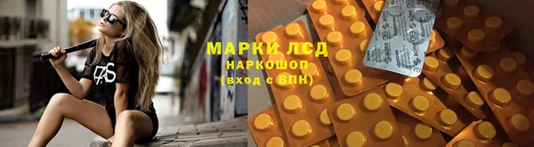 индика Михайлов