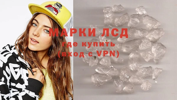 apvp Надым