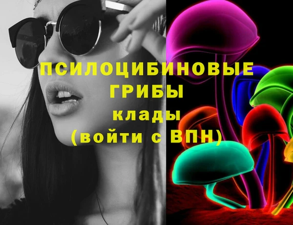 индика Михайлов