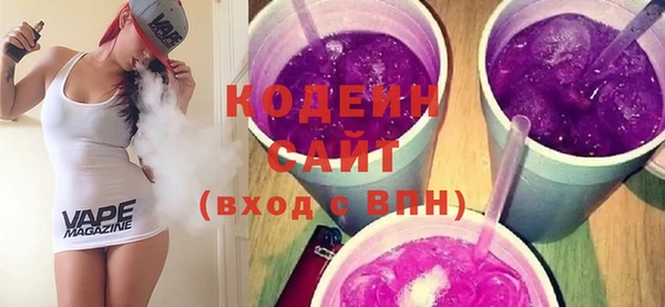 индика Михайлов