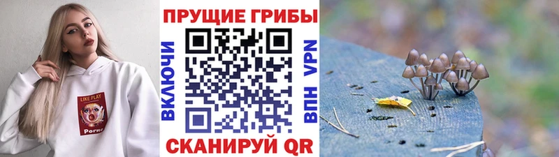 Галлюциногенные грибы GOLDEN TEACHER  omg ссылки  Поронайск  цена наркотик 
